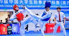 开云-跆拳道锦标赛上演强强对话,岭南貔貅队大胜渝州灰熊队,战术调整见效;临场应变见真章(2023全国跆拳道锦标赛回放视频全部)