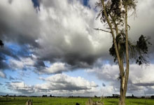 开云-法兰克福内部会议纪要流出——关键时刻强势反弹；中超使命明确；临场指挥获称赞的简单介绍