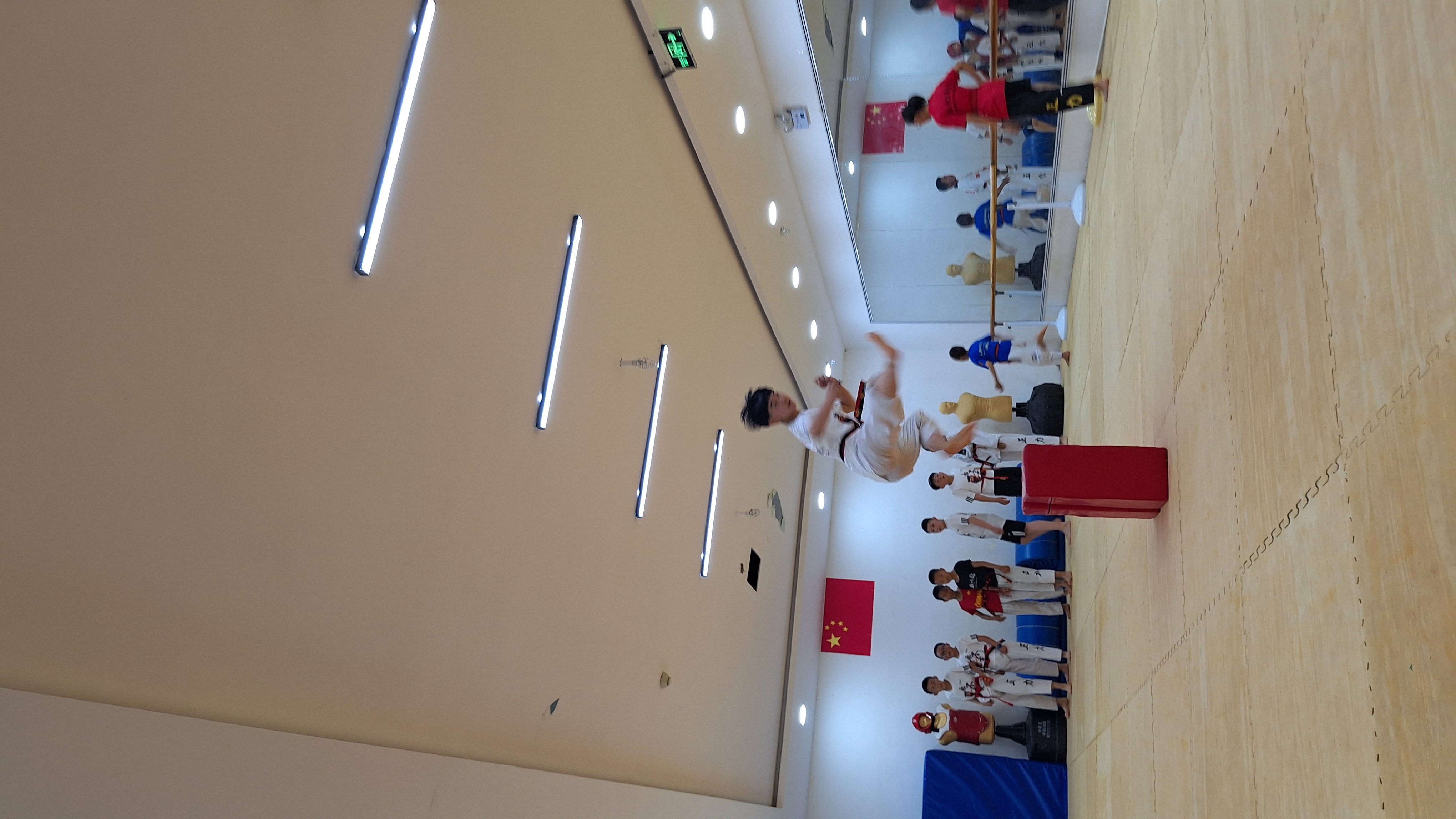 跆拳道锦标赛上演强强对话,岭南貔貅队大胜渝州灰熊队,战术调整见效;临场应变见真章(2023全国跆拳道锦标赛回放视频全部) 跆拳道锦标赛上演强强对话,岭南貔貅队大胜渝州灰熊队,战术调整见效;临场应变见真章(2023全国跆拳道锦标赛回放视频全部)