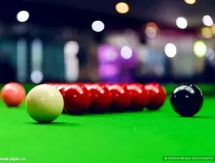 斯诺克夜战：吴越飞鹰队逆转川蜀犀牛队，主帅临场妙招黑马成最大惊喜的简单介绍